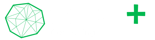 ESG+ Consulting