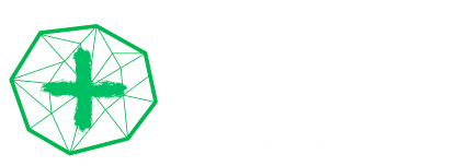 ESG+ Consulting